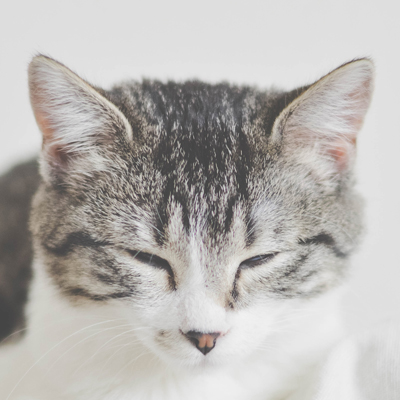 卓越的(de)智慧城(chéng)市(shì)建設綜合服務提供商
